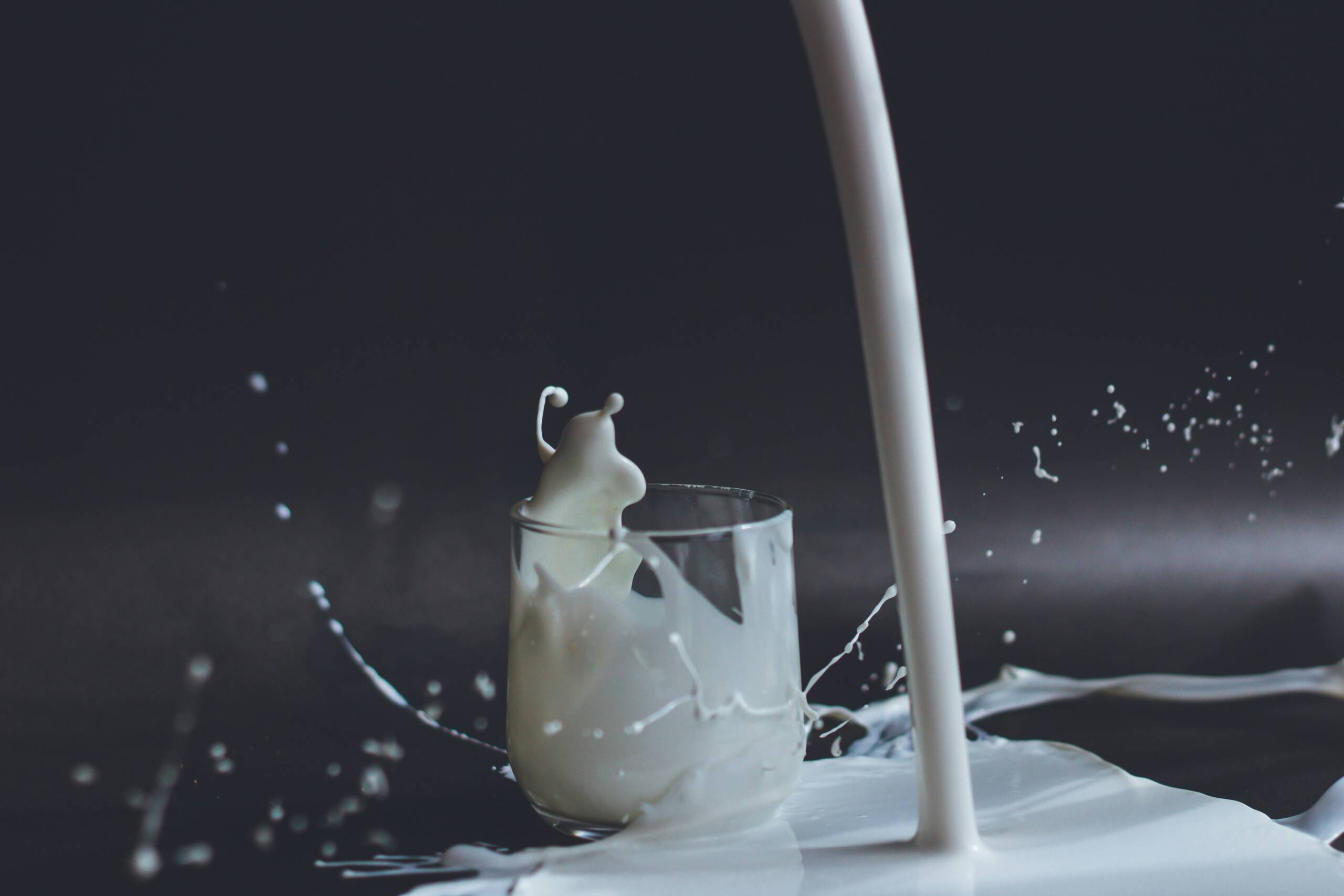 Image of milk products and formula